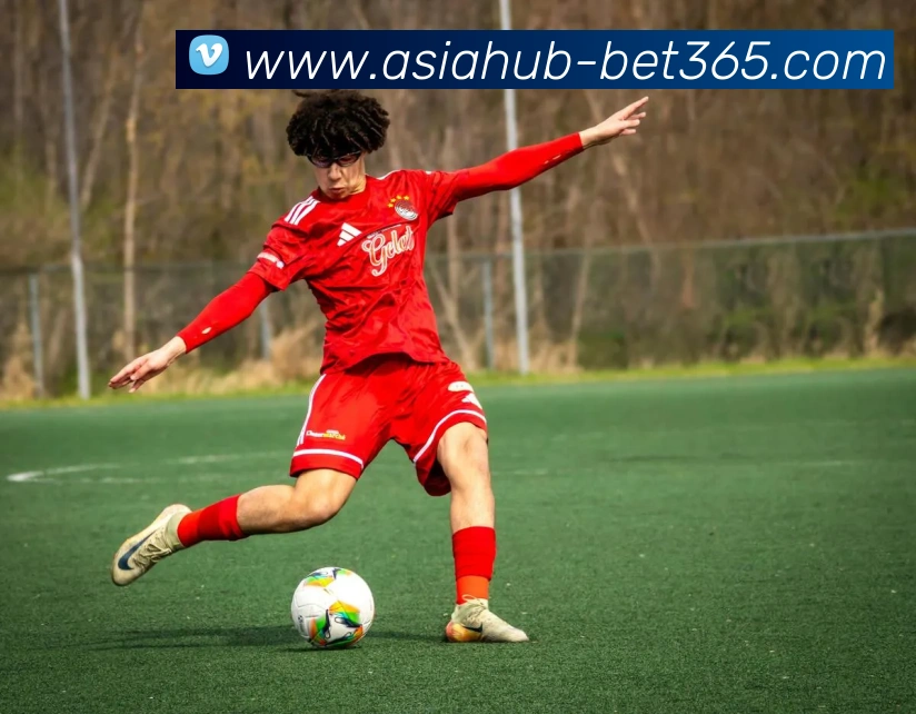 辅助工具 辅助工具